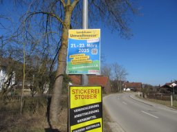 img_8081
